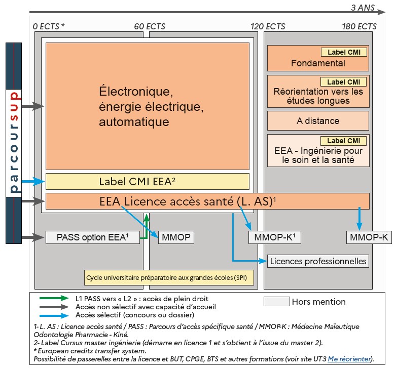 ODF 2024-2025_Mention LicEEA_SCHEMA_SCUIO